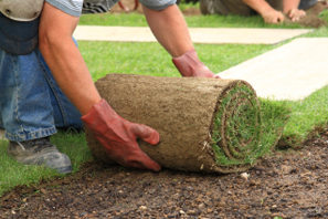 sod installation